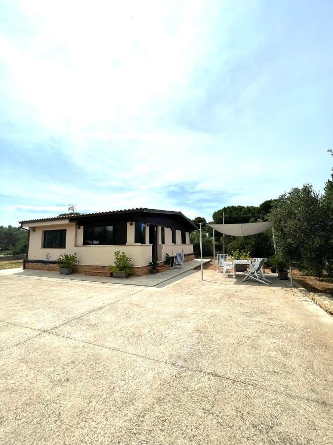 Il Moro - Casa Vacanze Теразини Екстериор снимка